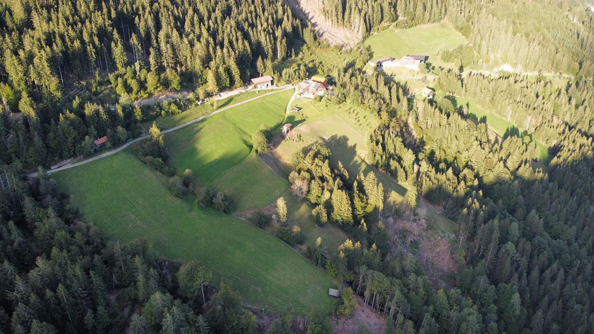 Gladerhof Villa Zwickenberg Exteriör bild